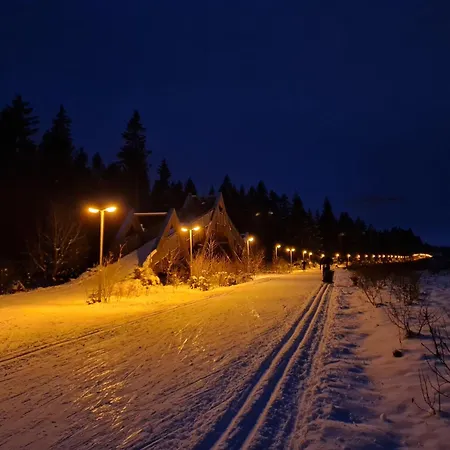 Neu! Vogtland *